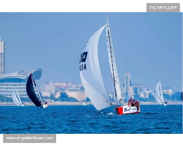 北京国际帆船赛选手凭借卓越操控技艺与无畏拼搏精神展开激烈角逐